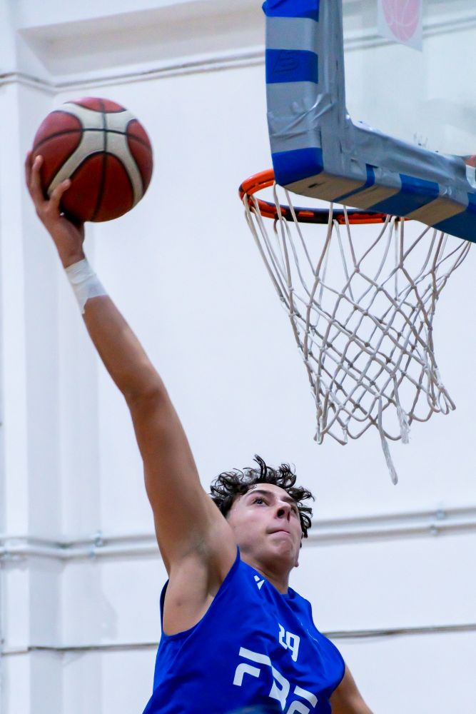 fbf team basket
